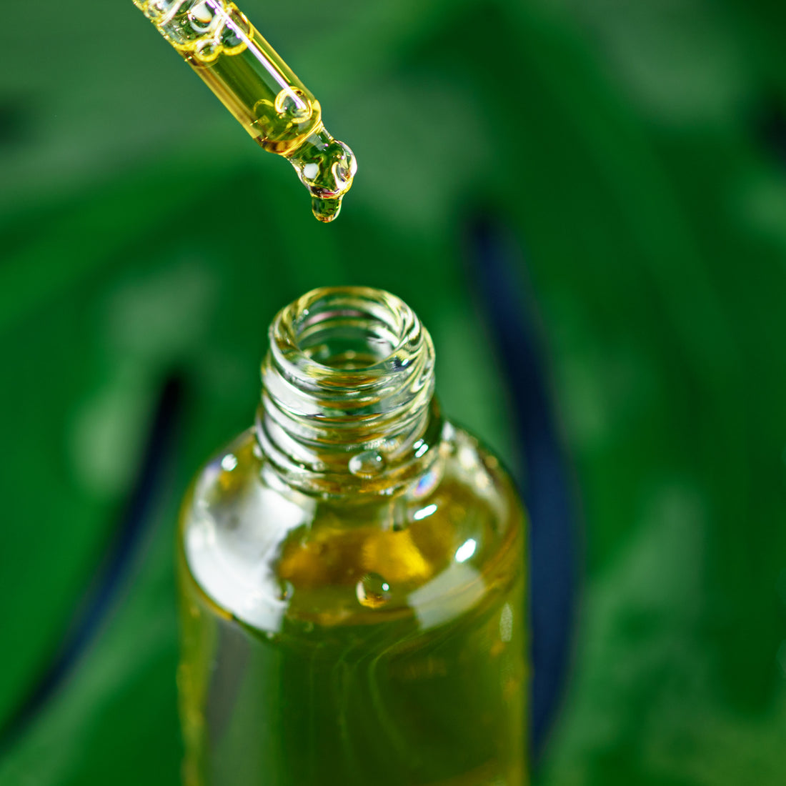 Cacy Carrier Oil - Cacay oil alone is rich in Vitamins A, E, and F.